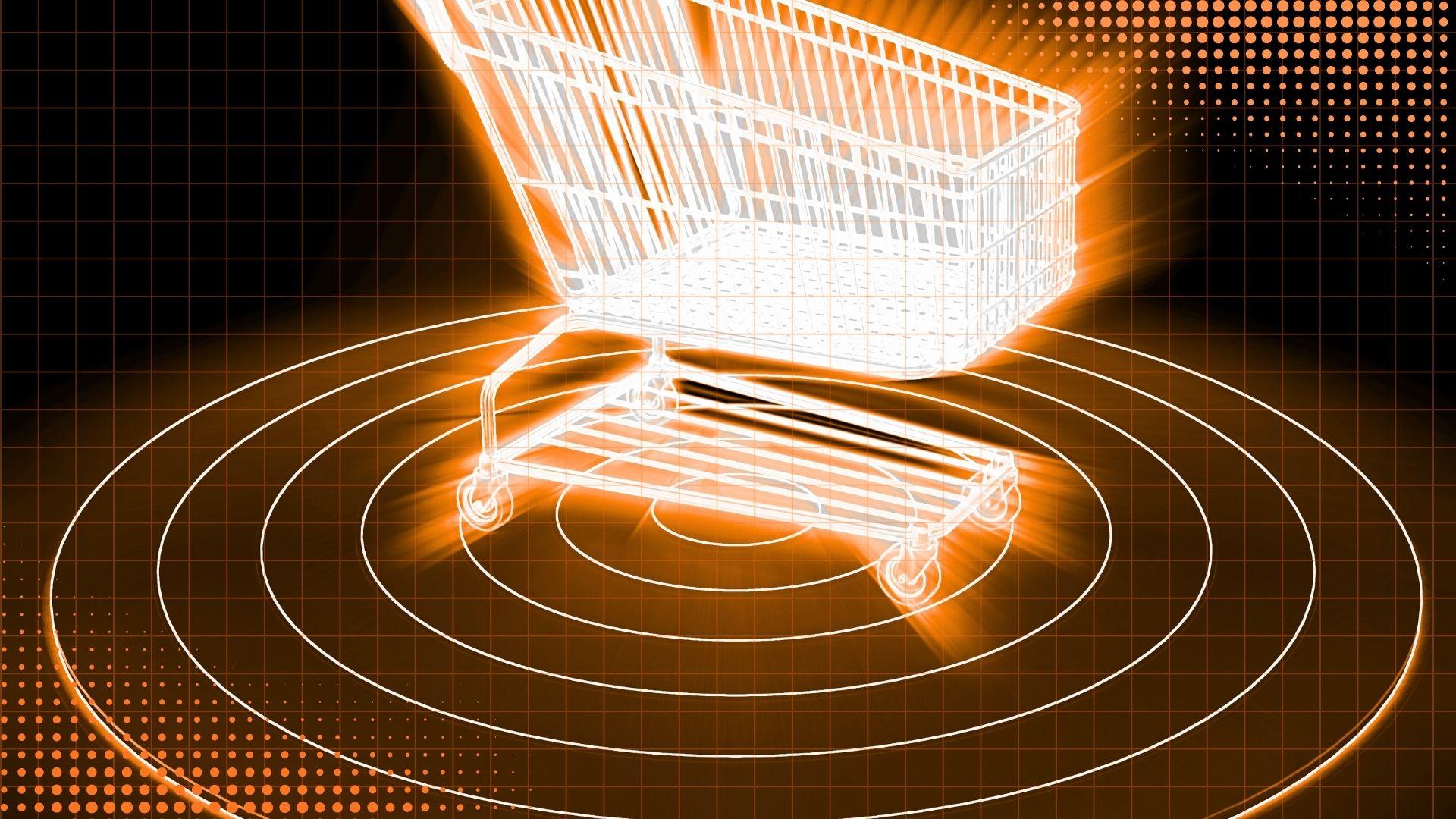 Custom web application interface